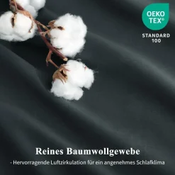 Aisbo Bettwäsche 200x220 cm Baumwolle Grau 3-teiliges Set mit 2 Kissenbezügen