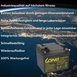 Akku-Satz 24V 50Ah mit 2x Kung Long WP50-12NE für Meyra Ortopedia Compact 920N 40