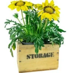 alte Holzkiste Weinkiste Obstkiste Storage in verschiedenen Grössen Vintage Upcycl