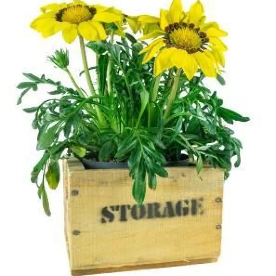 alte Holzkiste Weinkiste Obstkiste Storage in verschiedenen Grössen Vintage Upcycl
