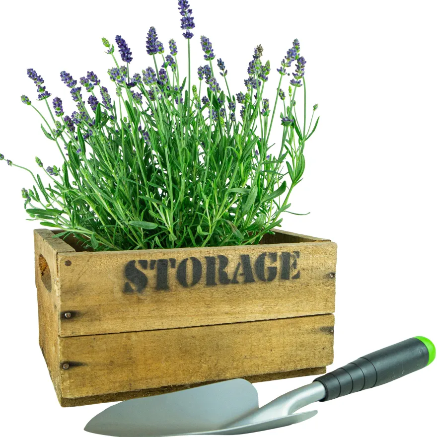 alte Holzkiste Weinkiste Obstkiste Storage in verschiedenen Grössen Vintage Upcycl