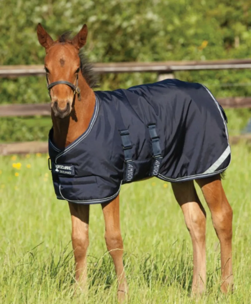 Amigo Foal Rug medium, Amigo Fohlen Decke 200 g, wasserdicht, Regendecke Fohlen