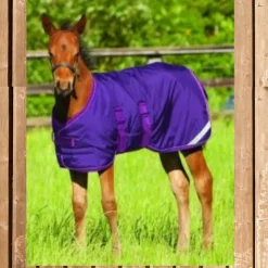 Amigo Foal Rug medium, Amigo Fohlen Decke 200 g, wasserdicht, Regendecke Fohlen