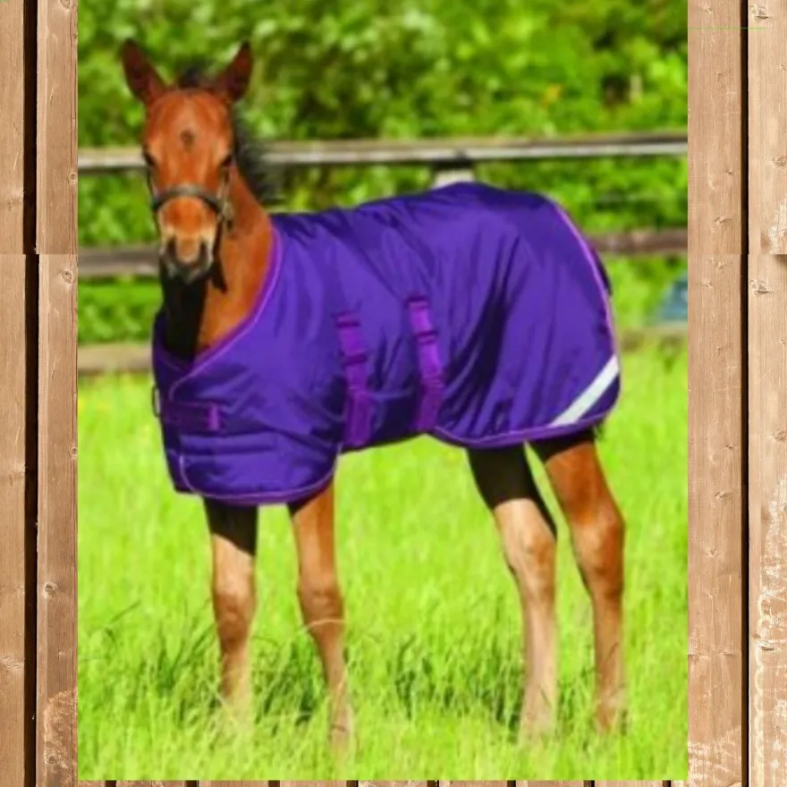 Amigo Foal Rug medium, Amigo Fohlen Decke 200 g, wasserdicht, Regendecke Fohlen