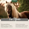 Aniforte Flohsamenschalen 2,5kg Sparpack Diät Verdauung Magen- Darm Pferde Ponys
