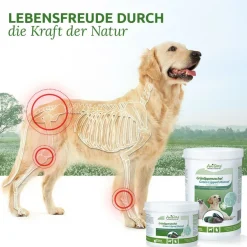 AniForte Grünlippmuschel-Pulver Hund &Katze Grünlippextrakt vollwertig