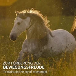 Aniforte Weidenrinde Unterstützung des Bewegungsapparates Silberweide Rinde 1,5kg