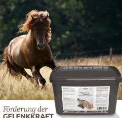 Aniforte Weidenrinde Unterstützung des Bewegungsapparates Silberweide Rinde 1,5kg