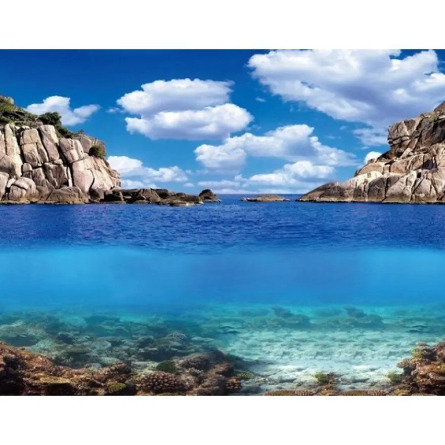 Aqua Nova Fotorückwand Plants / Ocean XL Poster Rückwand 150x60cm Deko Aquarium