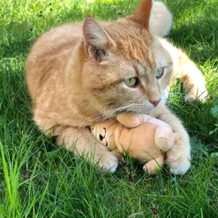 Aumüller Katzenspielzeug Baldi Bunny - Plüschtier zum Schmusen mit Baldrianfüllung