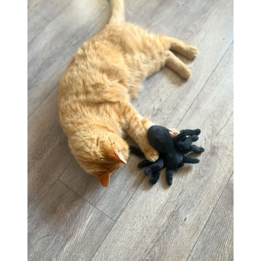 Aumüller Katzenspielzeug Grusel-Tarantel Spooky - Plüschtier mit Baldrianfüllung