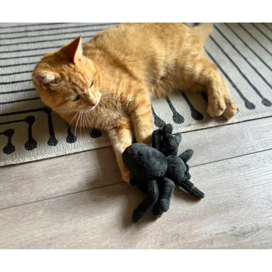 Aumüller Katzenspielzeug Grusel-Tarantel Spooky - Plüschtier mit Baldrianfüllung