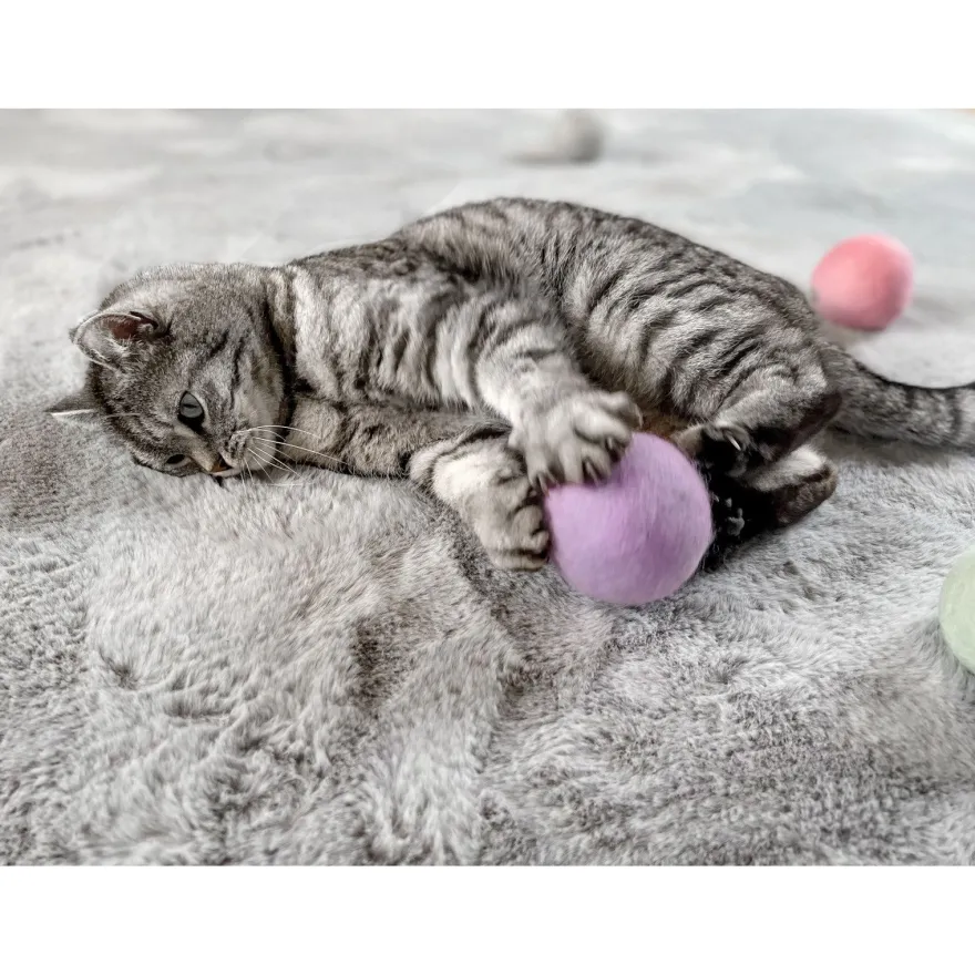Aumüller natürliches Katzenspielzeug, Wollfilzkugel - 4 Stück
