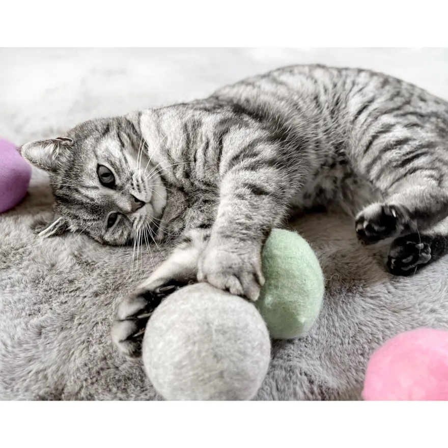 Aumüller natürliches Katzenspielzeug, Wollfilzkugel - 4 Stück