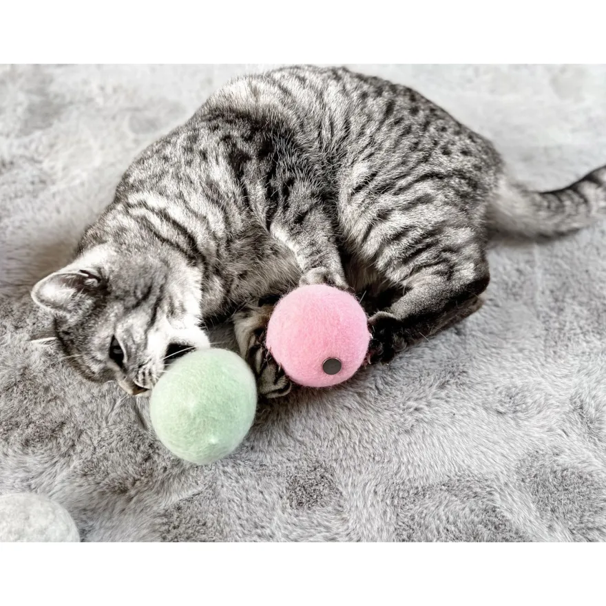 Aumüller natürliches Katzenspielzeug, Wollfilzkugel - 4 Stück