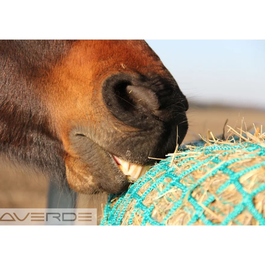 AVERDE Futtersparnetz Heunetz 3,6 x 3,6 m, HD, 10 cm Maschenweite