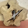Baumscheibe, Holzscheibe, Tischplatte Robinie ca. 40x5 cm, geschliffen