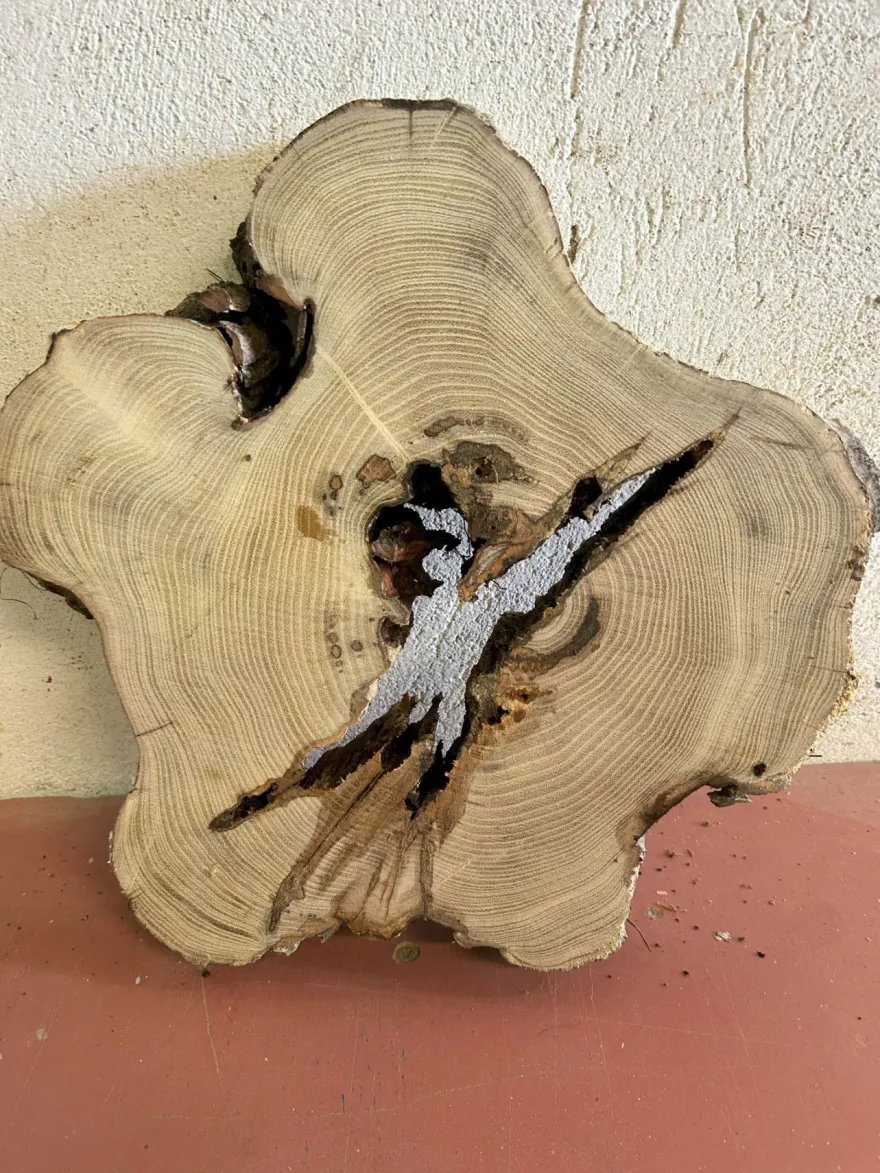 Baumscheibe, Holzscheibe, Tischplatte Robinie ca. 40x5 cm, geschliffen