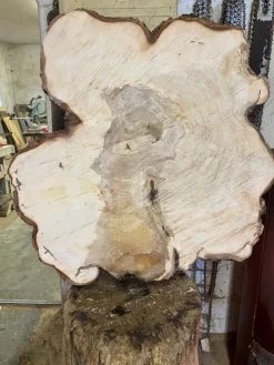 Baumscheibe, Holzscheibe, Tischplatte, 90-95/5cm geschliffen