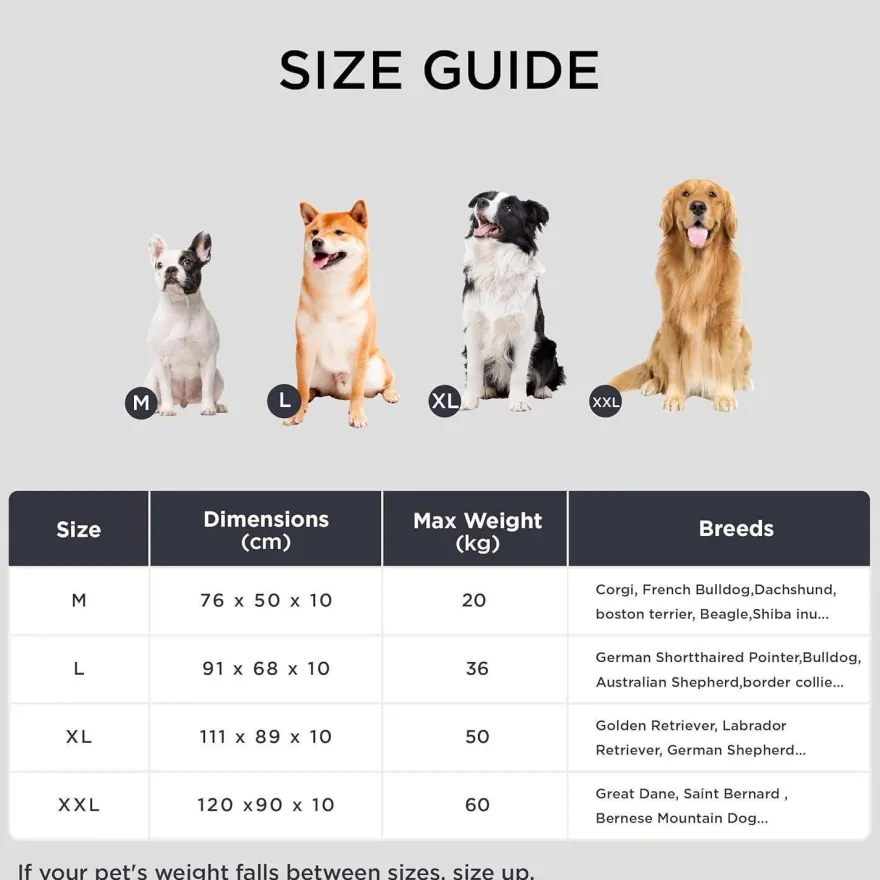 Bedsure Hundebett L (91x68 cm) - Waschbare, gepolsterte Hundematte für Hunde