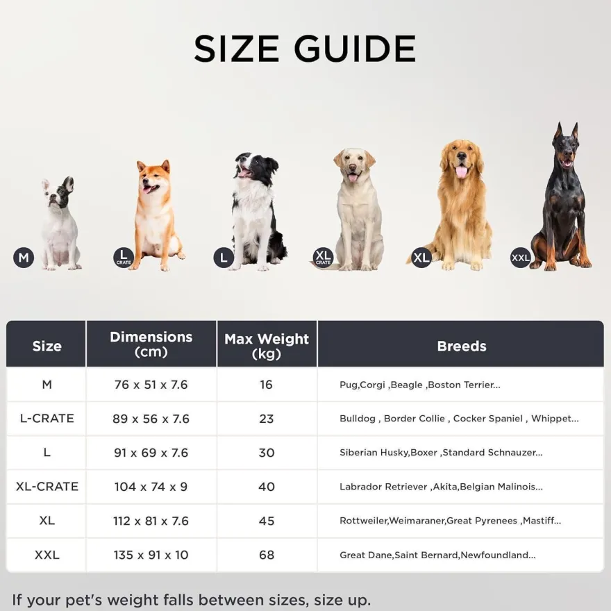Bedsure Orthopädisches Hundebett für große Hunde, 112x81x7.6cm, Dunkelgrün