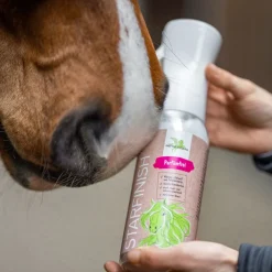 B & E StarFinish parfümfrei - Schweif- und Mähnenspray für Pferde - 500 ml