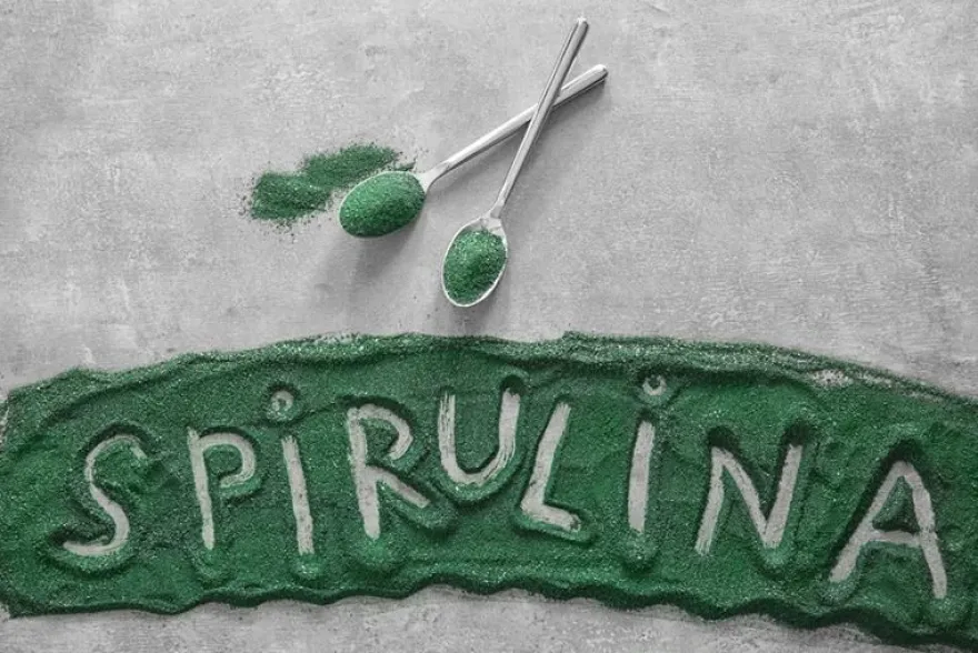 BIO Spirulina Pulver 500g