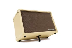 Blackstar Acoustic: ore