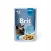 6 * Brit Premium Cat Pouch – Fischfilets mit Huhn, 85 g, mit Soße