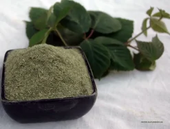 Brombeerblätter gemahlen 1 Kg