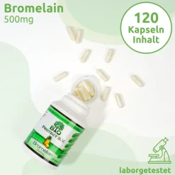 Bromelain mit 2000 GDU/ g / 4000 F.I.P./ g - 500 mg / 120 Kapseln Bio Protect