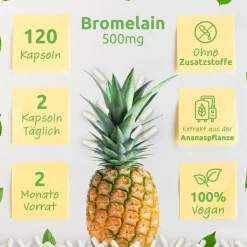 Bromelain mit 2000 GDU/ g / 4000 F.I.P./ g - 500 mg / 120 Kapseln Bio Protect