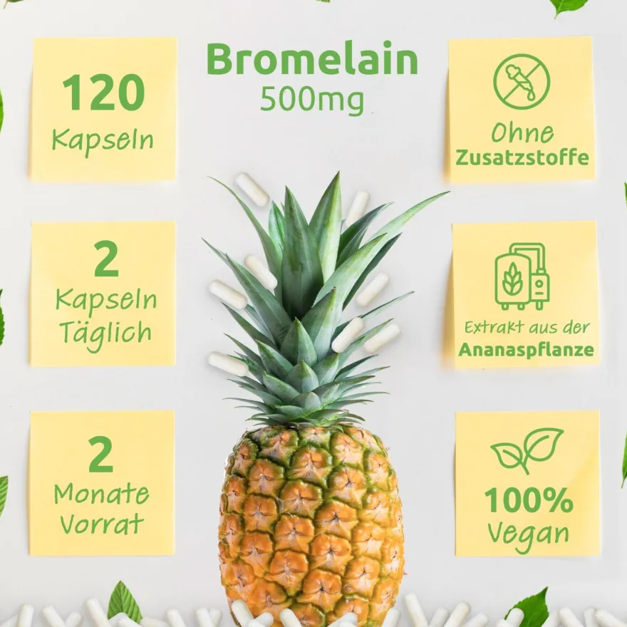 Bromelain mit 2000 GDU/ g / 4000 F.I.P./ g - 500 mg / 120 Kapseln Bio Protect