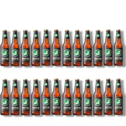 Brooklyn Hoppy Amber Lager 24 x 0,33l- Craft Beer aus New York mit 5,2% Vol