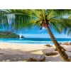 Castorland Puzzle Urlaub auf den Seychellen 500 Teile