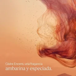 CDRE ENCENS Deostick 75 gr