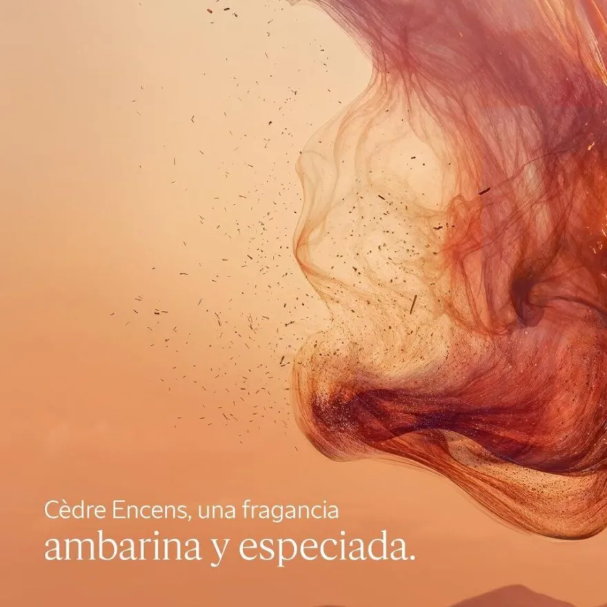 CDRE ENCENS Deostick 75 gr