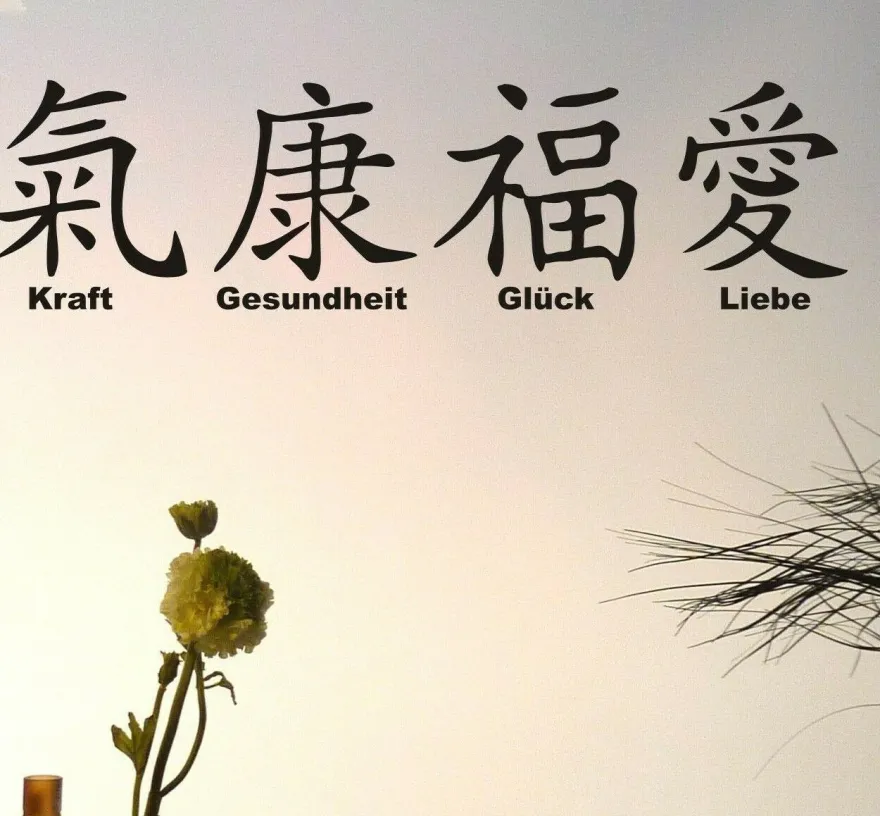 4 Chinesische Zeichen Gesundheit Kraft Glück Liebe je 10cm Wandtattoo Nr 87a