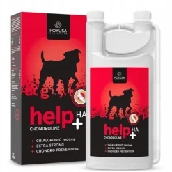 Chondro Line HELP HA Versuchungsflasche 1000ml
