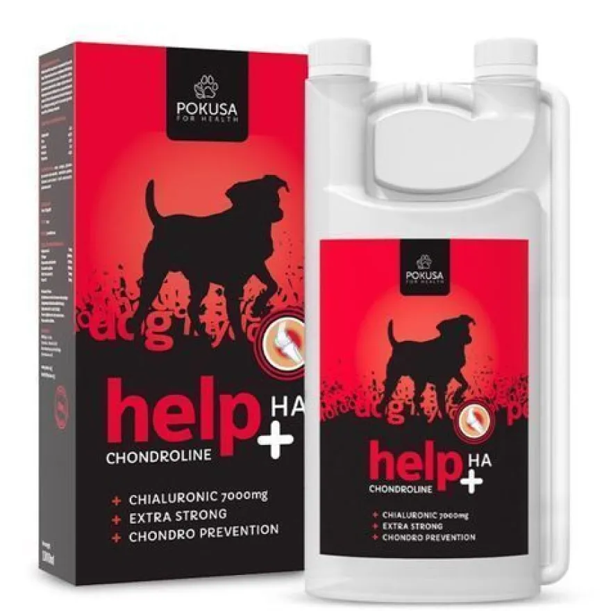 Chondro Line HELP HA Versuchungsflasche 1000ml