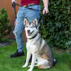CopcoPet - Lederleine Fettlederleine Hundeleine mit zwei Handgriffen