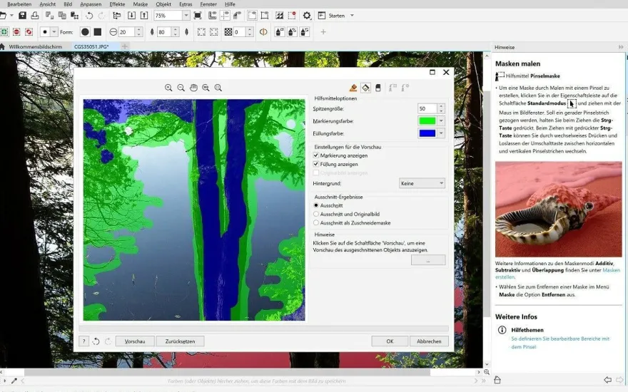 CorelDRAW Graphics Suite SpecialEdition 2020 OEM + AfterShot3 + FM Download