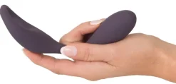 Couples Choice RC Paarvibrator