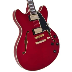 DAngelico Excel DC