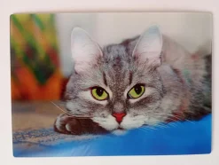3 D Ansichtskarte Hunde Katze Postkarte Wackelkarte Hologrammkarte Tier Hund Katzen