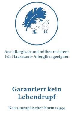 Daunenkissen Kopfkissen Kuschelkissen 40/40 cm 100 g neue Daunen Nackenkissen