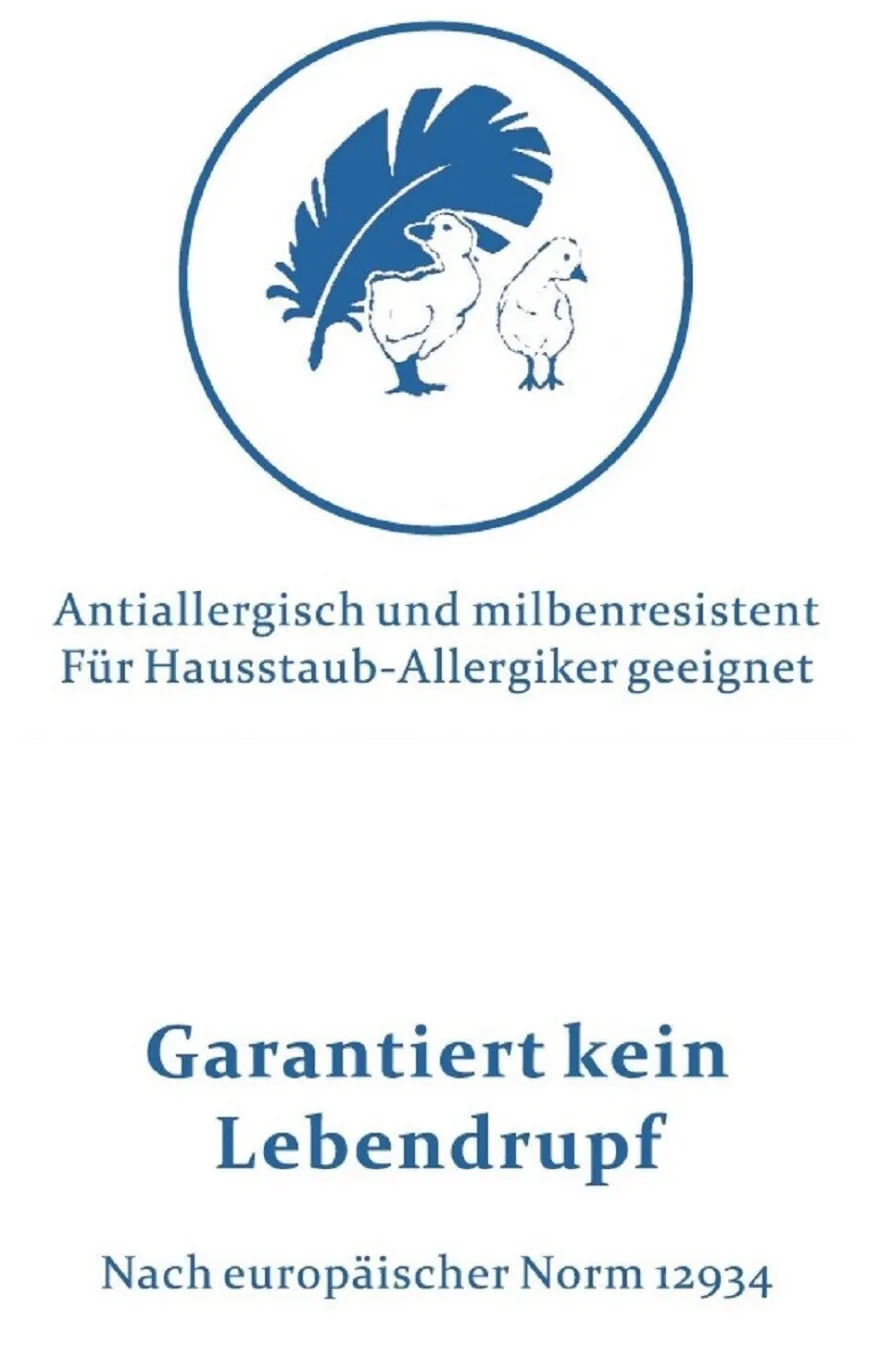Daunenkissen Kopfkissen Kuschelkissen 40/40 cm 100 g neue Daunen Nackenkissen