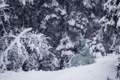 DD Hammocks Dd Poncho Tarp Winter MC - Camouflage weiß Zubehör
