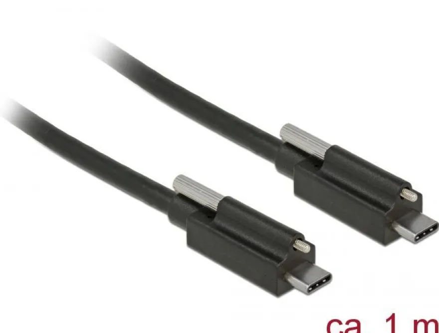 Delock Kabel SuperSpeed USB 10 Gbps (USB 3.1 Gen 2) USB Type