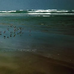 Downpilot: Downpilot: The Forecast - Tapete Musik - (LP / T)